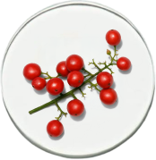 ingredients 2