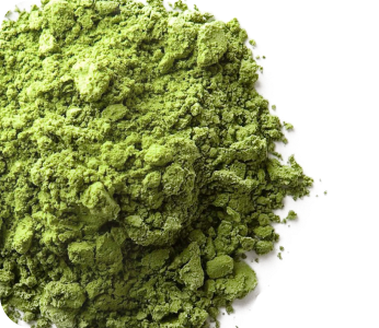 Matcha (Fermented)