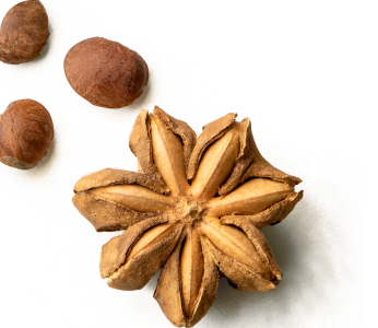 Sacha Inchi Seed Extract