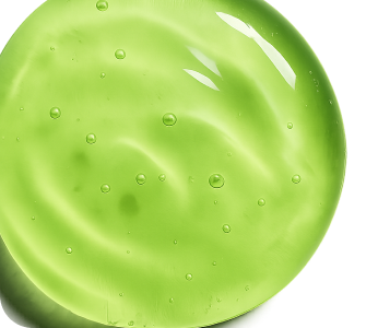 Chlorella Vulgaris Extract